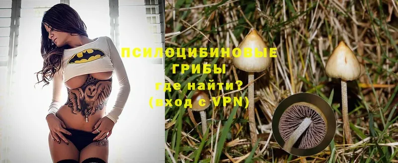 Галлюциногенные грибы Magic Shrooms  Унеча 